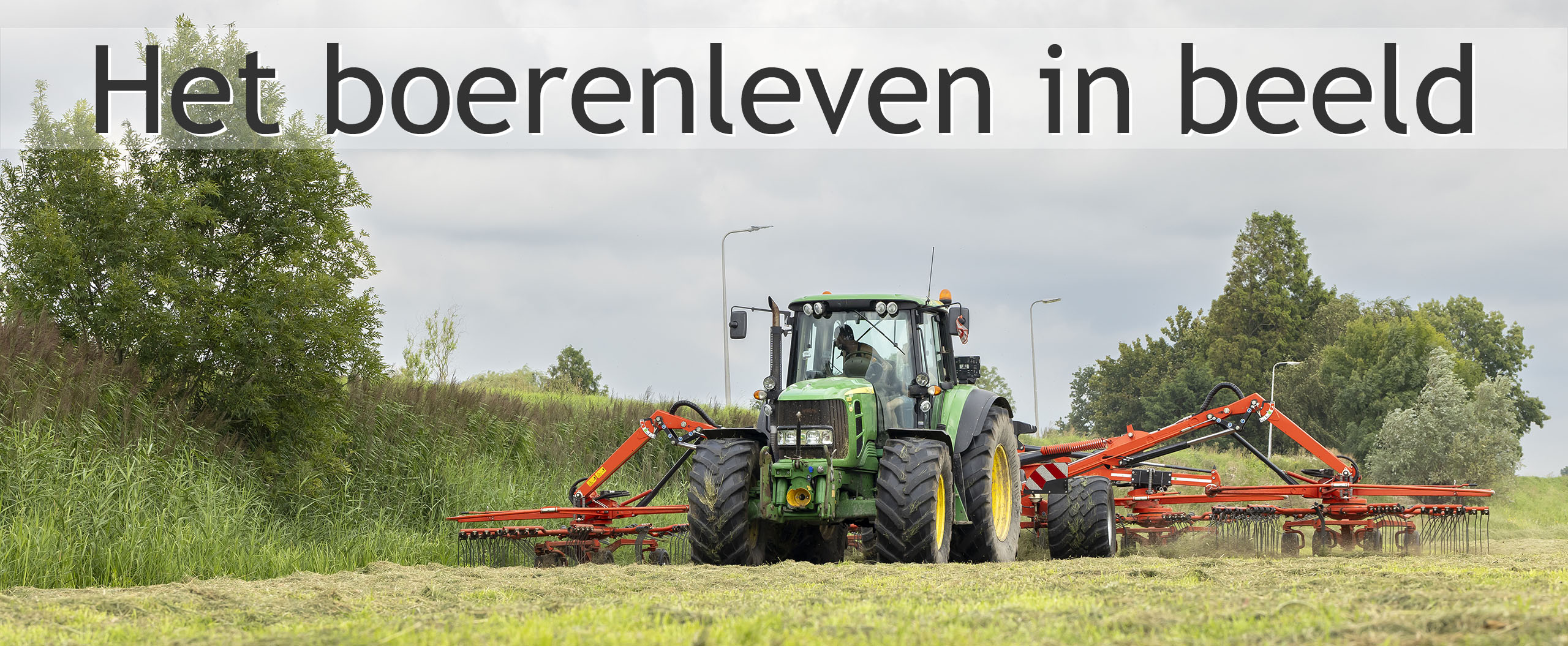 Wiersen en inkuilen